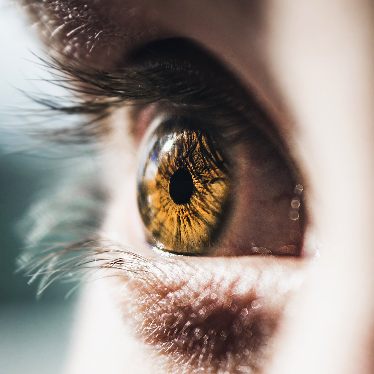 Nahaufnahme eines braunen Auges von der Seite.