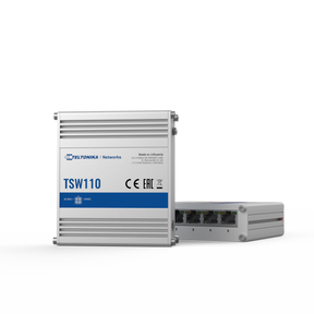 Frontalansicht des TSW110. Dahinter liegt ein weiterer Switch so, dass die LAN-Anschlüsse zu sehen sind.
