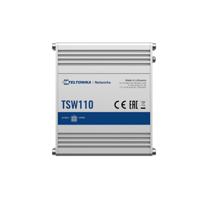Frontalansicht des TSW110.